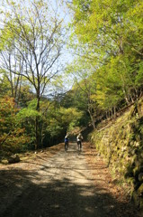 中津川林道ツーリング