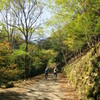 中津川林道ツーリング