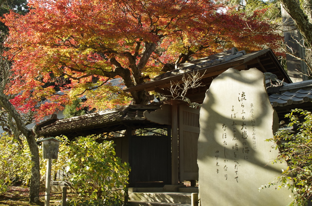 東慶寺にて