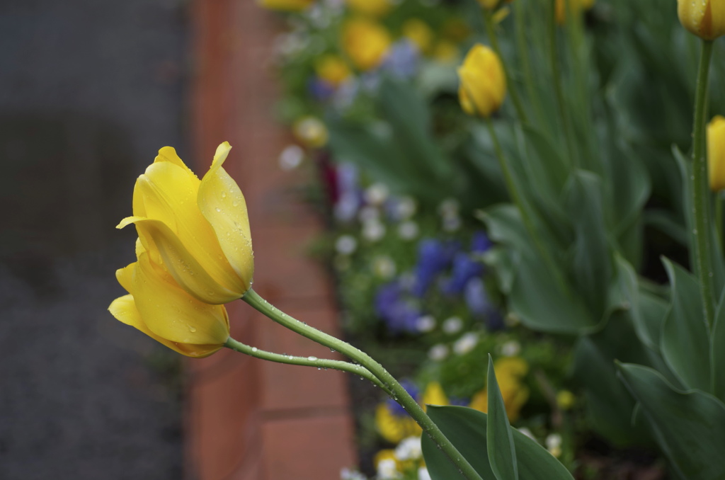 「なんだか肌寒いわね・・・」