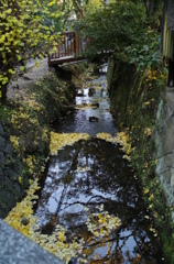 見慣れた風景