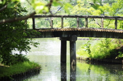 新緑と水辺の橋の風景に癒されて・・・