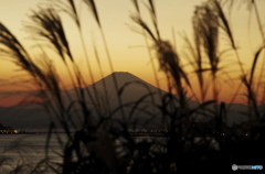 海辺の富士を眺めて日没を待つ。