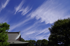 なに雲？？