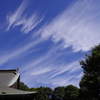 なに雲？？