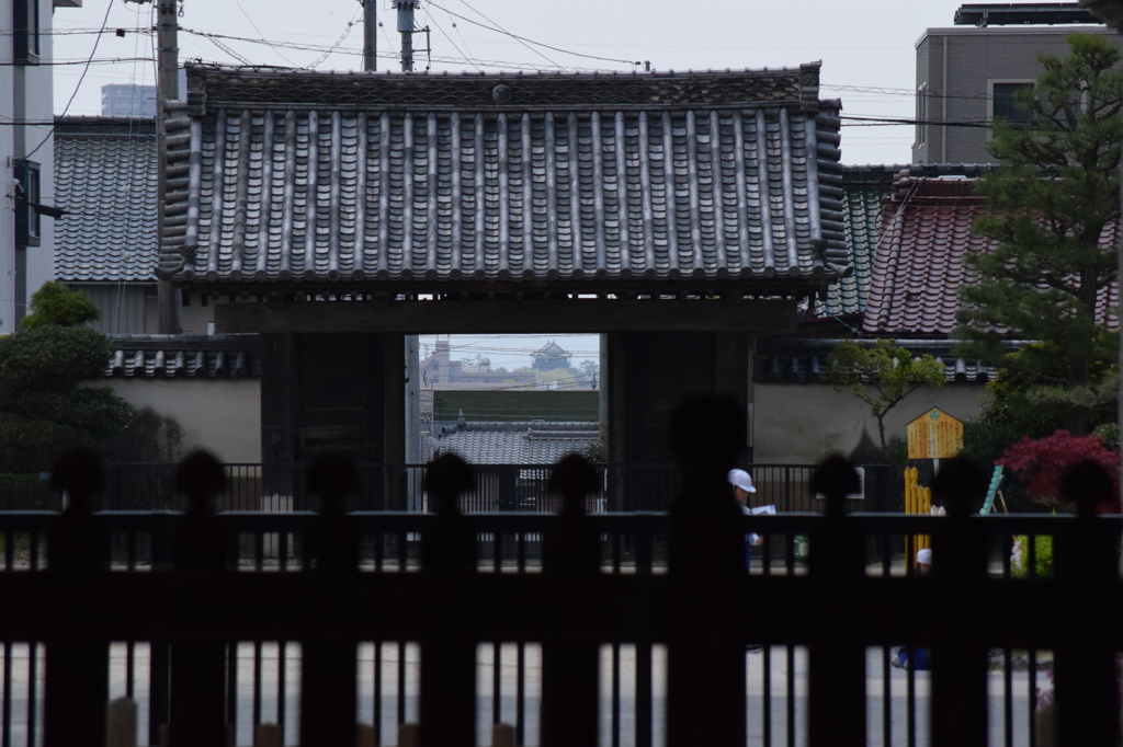 大樹寺から望む岡崎城