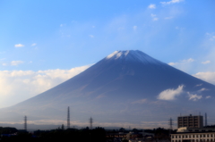 コントラスト