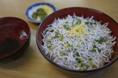 しらす丼