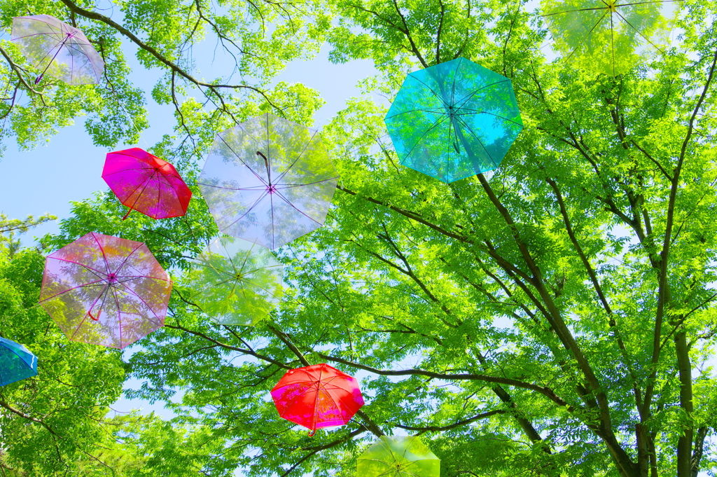 梅雨の晴れ間