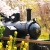 春と蒸気機関車