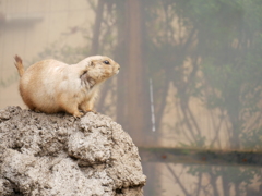 明日を見つめて