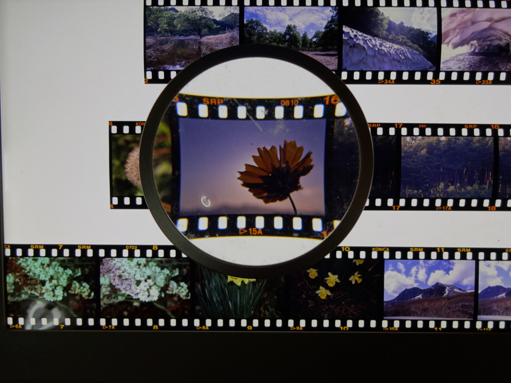 懐かしのフィルム