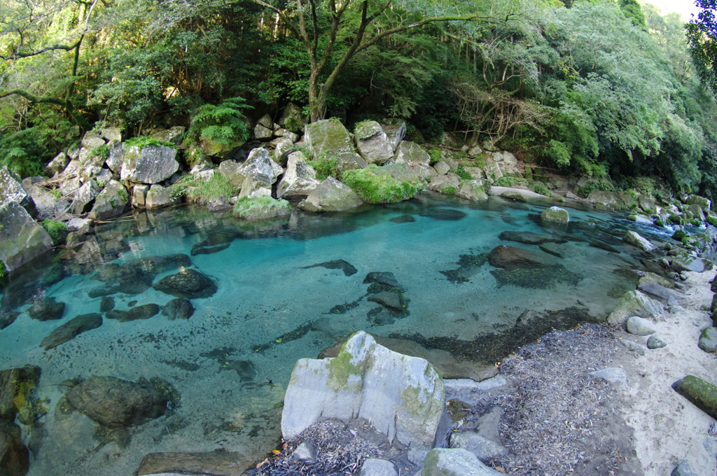 洗い流して