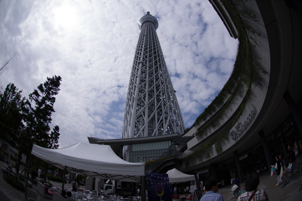 東京スカイツリー　