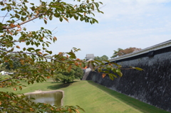 熊本城の何処か