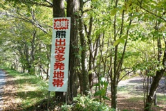 えっ、、