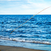 Bamboo in the sea