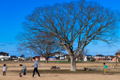 斎宮跡・上園芝生公園