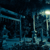night shrine
