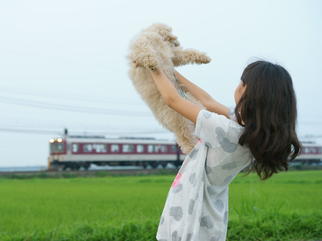 電車、来たよ！