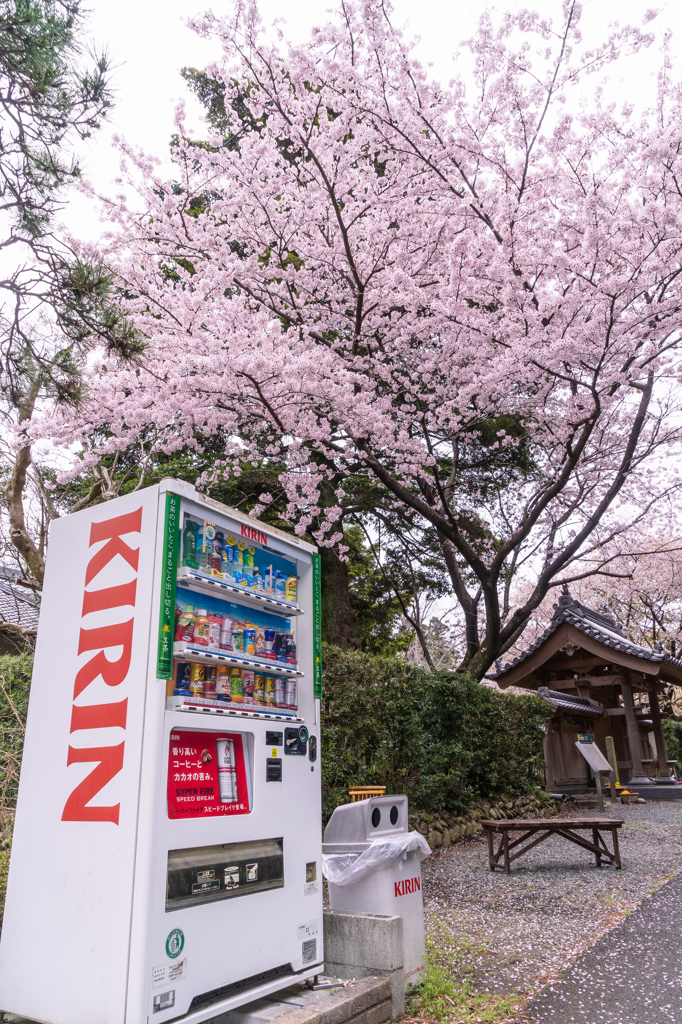 ＫＩＲＩＮ