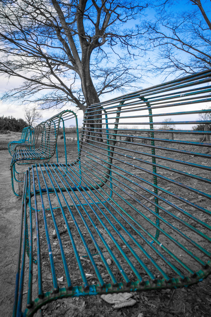 blue bench