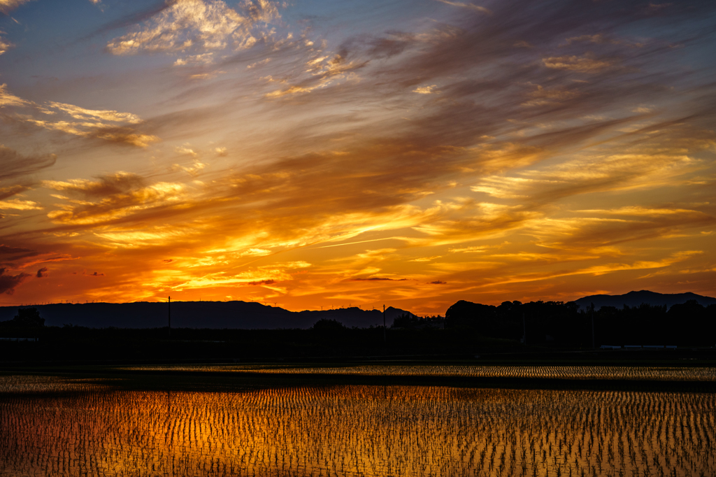 夕景試写