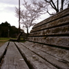 The petals on a bench