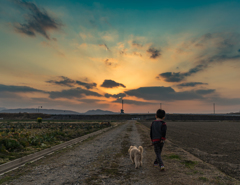 夕陽に向かって