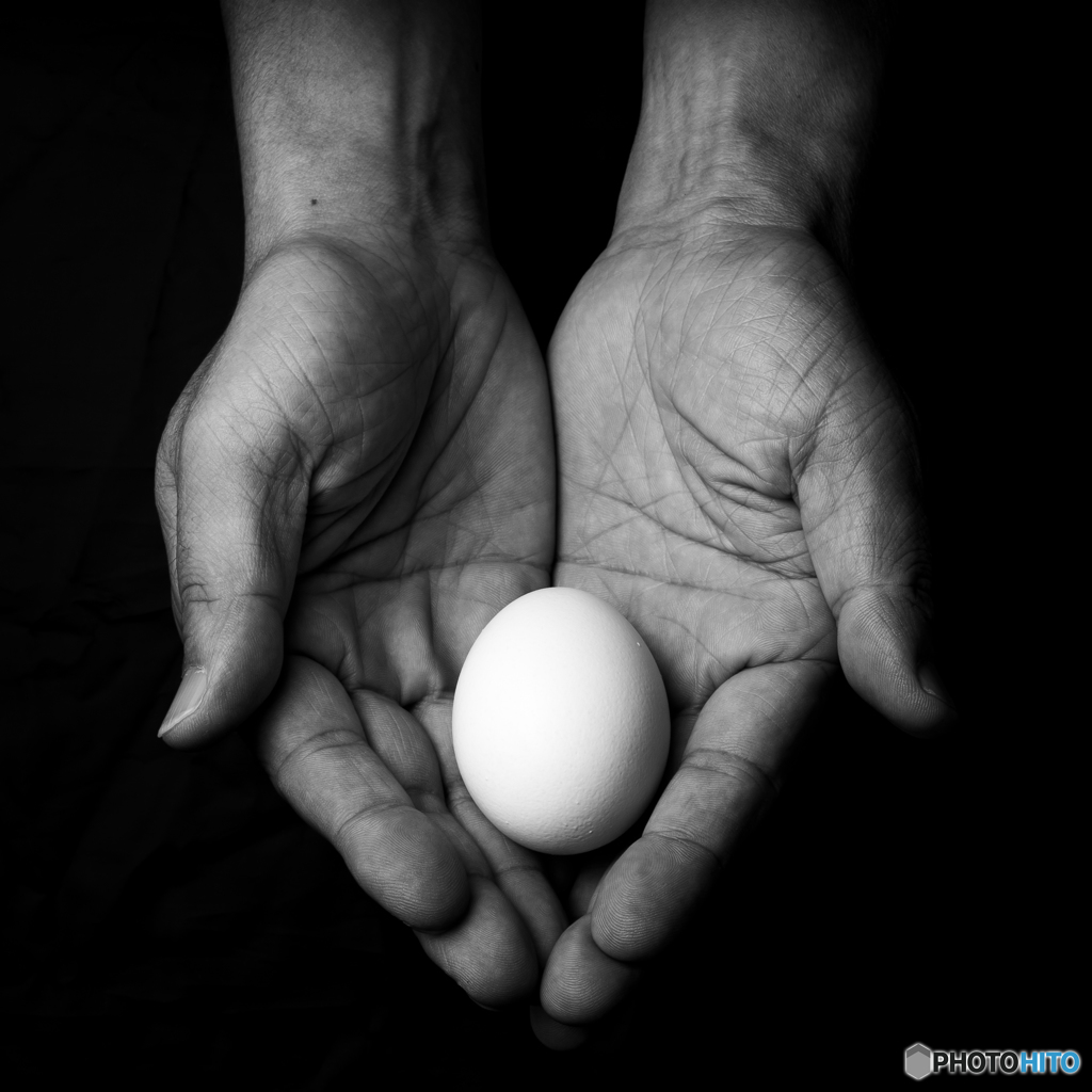 egg in hands