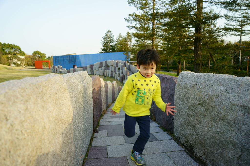 『石橋を走って渡る』