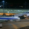 駐機場