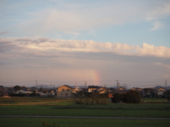 虹をみたかい