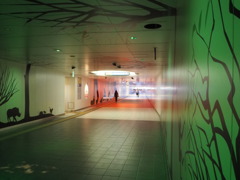 Corridor