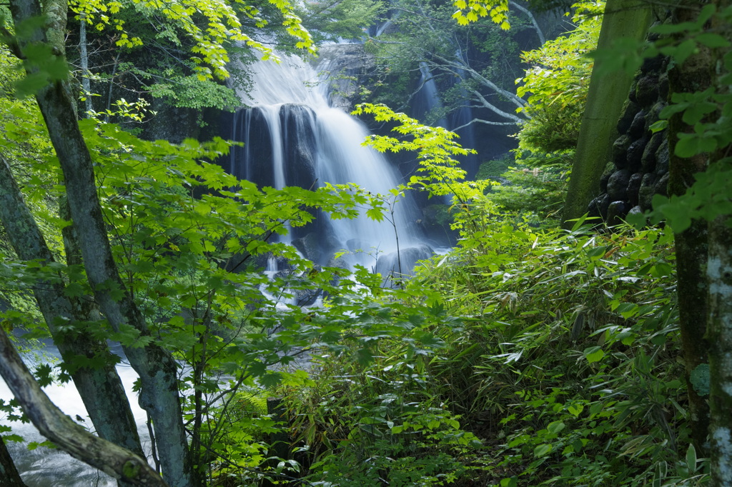 日光　竜頭の滝