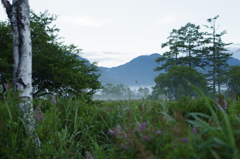 朝靄の戦場ヶ原（日光）