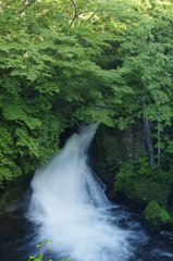 日光　竜頭の滝3