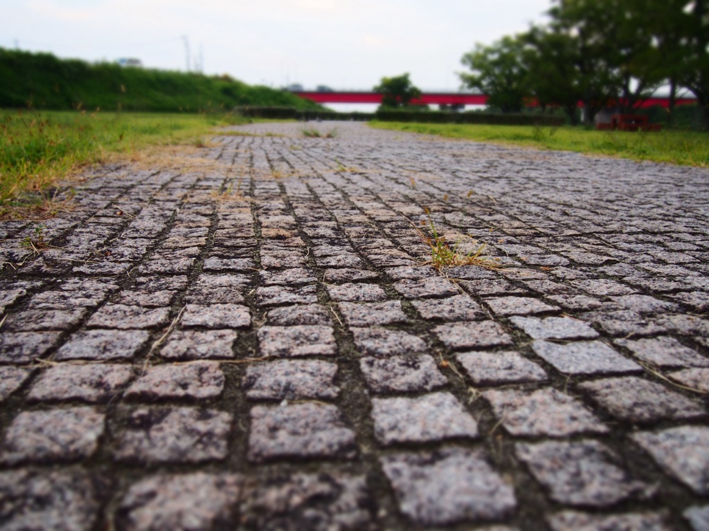 公園 そのさん