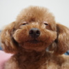 カメラを向けると　そのに