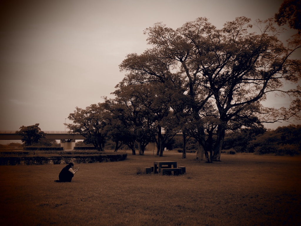公園 そのいち