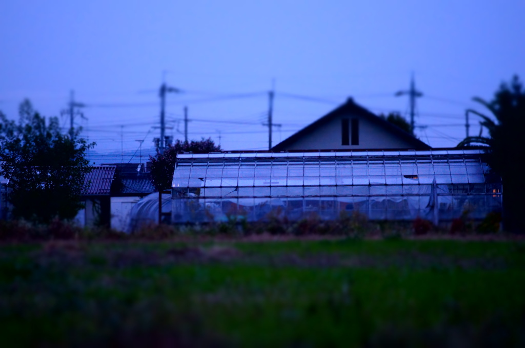 雨の夕暮れ