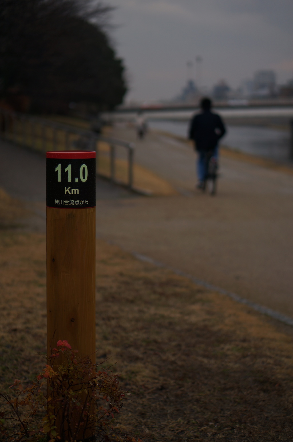 11km