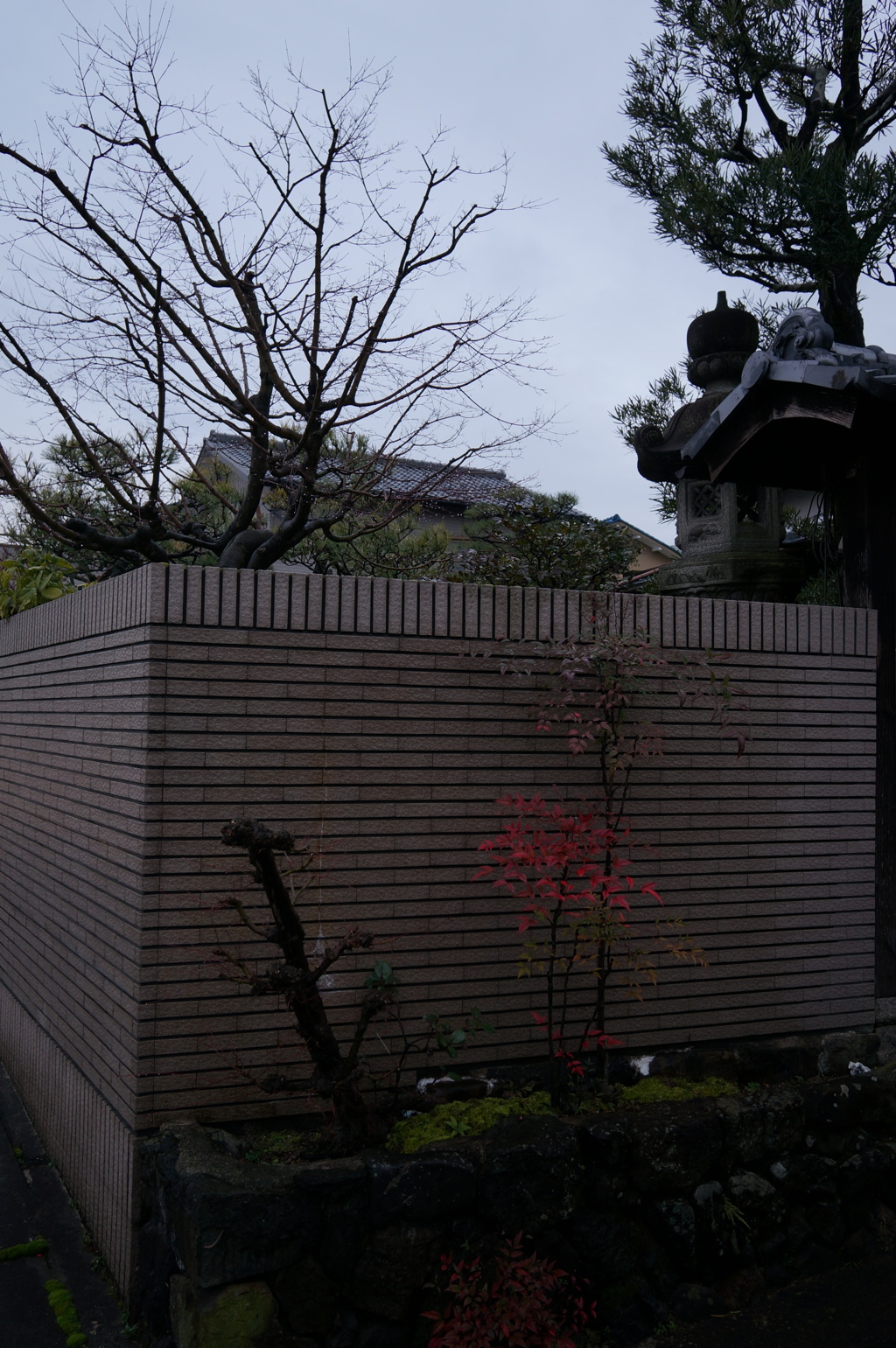 雨上がりの壁