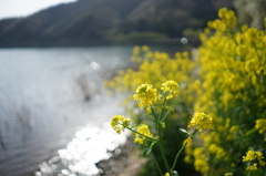 琵琶湖一周11