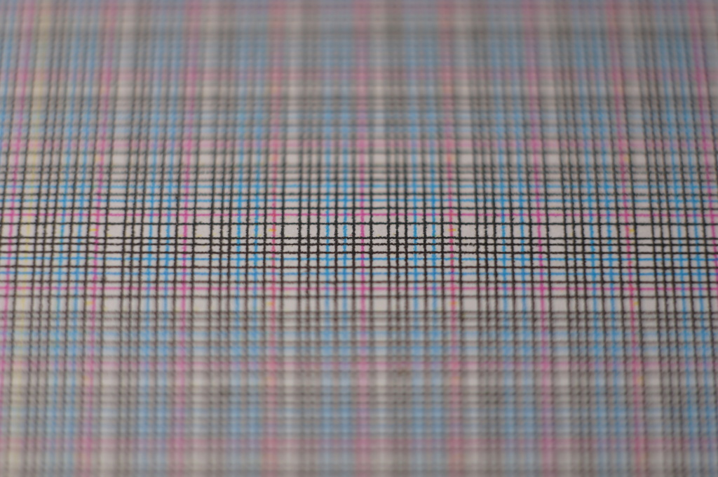 SIGMA60mmF2.8+Kenko接写リング26mm　被写界深度テスト　F2