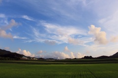 様々なカタチ