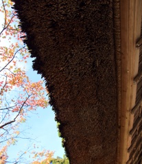葦葺き屋根