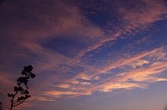 今日の夕暮れ