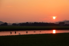 本日の夕景  2