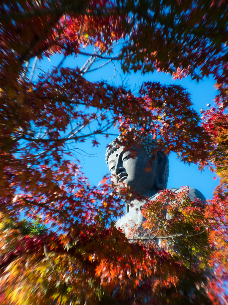 紅葉雲